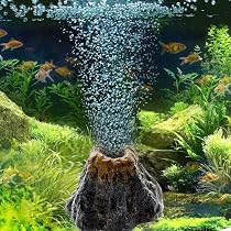 71dDrDDP+DL._AC_UL210_SR210,